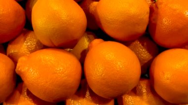 Bir markette üretim departmanının vitrininde sıra sıra mandalinalar.