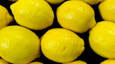 Üretim departmanının vitrininde limonların yavaş sıraları