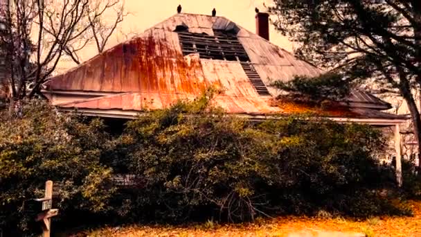 Gibson Usa 古董屋 屋顶生锈 — 图库视频影像