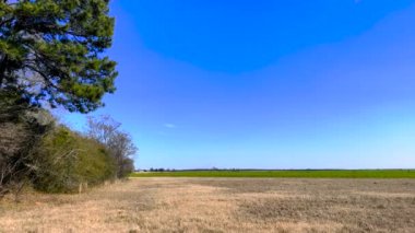Louisville, Ga USA - 02 10 22: Gürcistan kırsal alanı geniş ve açık mavi gökyüzü 