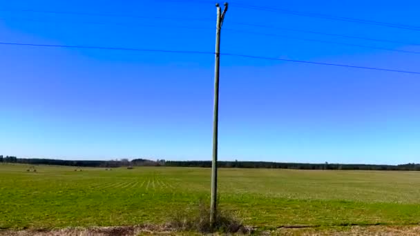 バーク郡 ガインUsa 10月22日 ジョージアの田舎の農地と送電線パン晴れた青空 — ストック動画