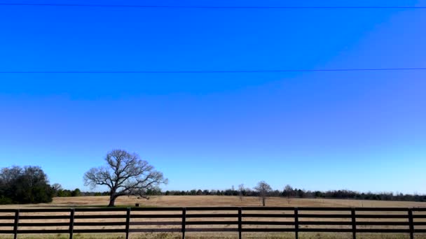 Burke County Statele Unite Ale Americii Georgia Tavă Rurală Teren — Videoclip de stoc