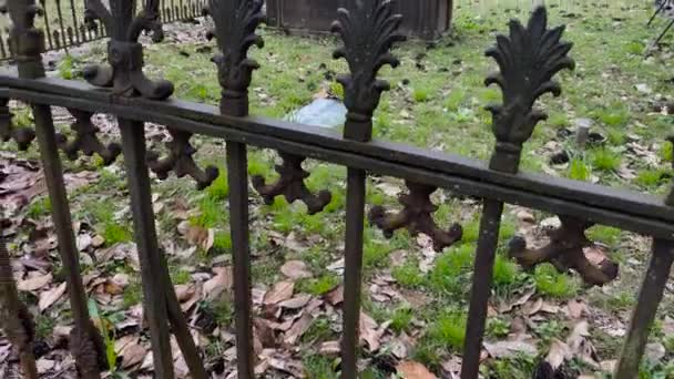 奥古斯塔 Usa Historic 1800 Magnolia Cemetery奥古斯塔佐治亚州倾斜旧生锈的栅栏 — 图库视频影像