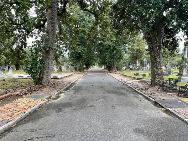 Augusta Usa Magnolia 1800S Cemetery Road Leading — стоковое фото