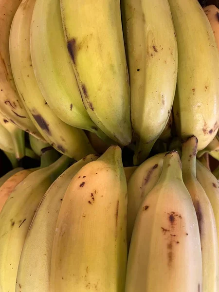 Augusta Usa Plantains Display Bunch — Photo