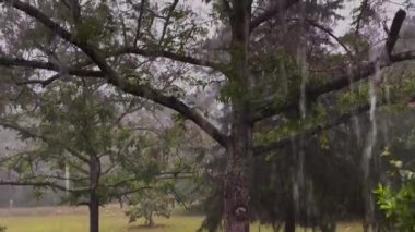 Burke County, Ga USA - 05 06: 22: Şiddetli fırtınalar yağmur kameralarını silip süpürüyor