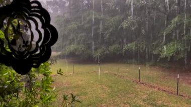 Burke County, Ga USA - 05 06: 22: Şiddetli fırtınalar yoğun yağmur tarlalarını silip süpürdü