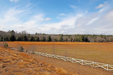Burke County, Ga USA - 01: 25: Gürcistan 'ın kırsal kesiminde beyaz ahşap çit ve tarım arazisi