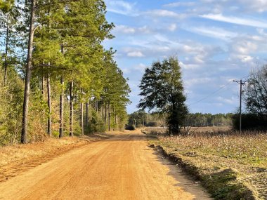 Burke County, Ga USA - 01: 25 Georgia kırsalında uzun kırmızı toprak yol