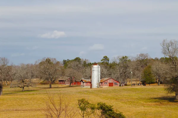 Burke County Usa Gürcistan Kırsal Kesimindeki Güzel Çiftlik Binalar — Stok fotoğraf