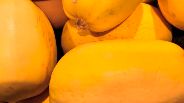 Grovetown États Unis Melons Jaunes Pile Dans Magasin Détail Produits — Video