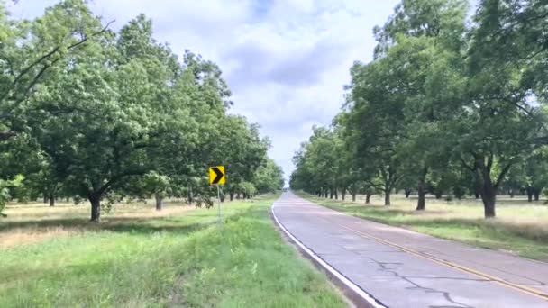 ジョージア州の田舎の特定の木の農場を通って田舎道を走る半トラック — ストック動画