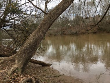 Atlanta, Ga USA - 01 17 20: Chattahoochee River Park ağacı nehrin üzerinde asılı