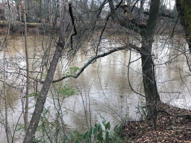 Atlanta, Ga USA - 017 17 20: Chattahoochee Nehri nehri ağaçların arasından geçiyor