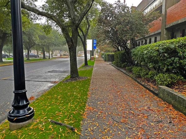 Empty Sidewalk Fall Leaves Rainy Day Augusta Georgia Medical District — Foto de Stock