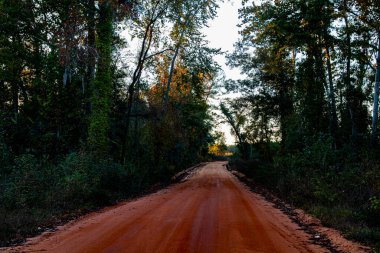 Georgia 'nın kırsalında uzun kırmızı toprak yol