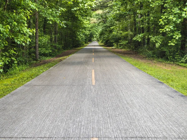 Gümüş Kuyrukluyıldız Patikası, 100 km asfalt yol, Georgia ABD, dümdüz yol ve sarı çizgiler.