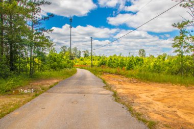 Gümüş Kuyrukluyıldız Patikası 100 km asfalt yol Georgia ABD kıvrımlı yol ve kabarık bulutlar