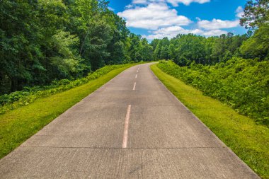 Gümüş Kuyrukluyıldız Yolu, Gürcistan 'ın 65 mil asfalt yolu, uzak kıvrımlı yol, güzel yeşil yapraklar.