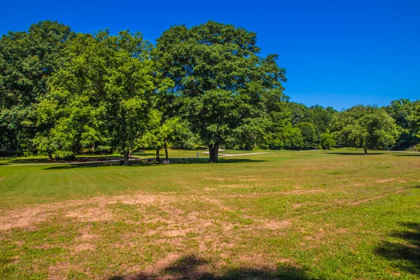 Silver Comet Trail Millas Camino Pavimentado Georgia Campo Abierto Cielo — Foto de Stock