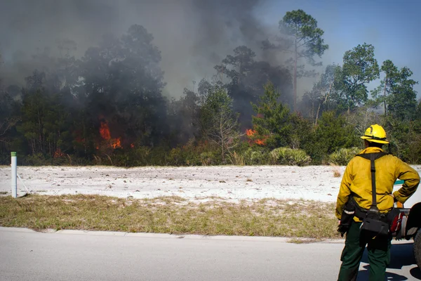 vahşi arazi yangın