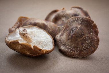 Shittake Mushrooms clipart