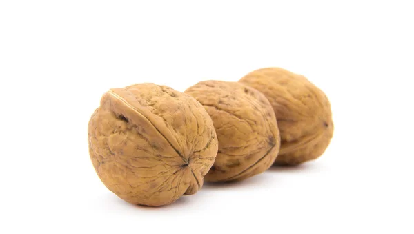Sušené vlašské ořechy — Stock fotografie