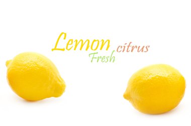 taze limon