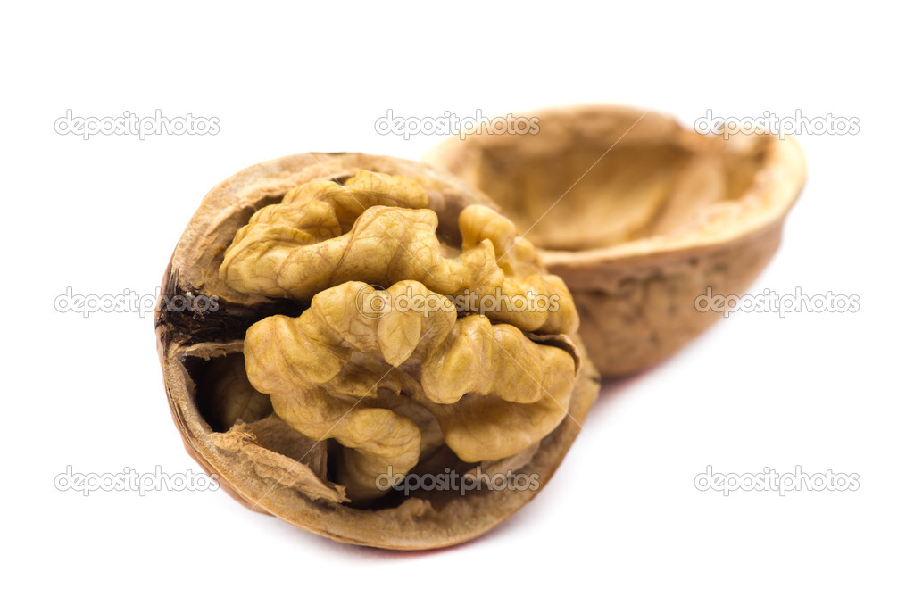 Dried walnut