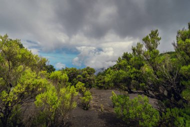 Volkanik manzara. El Hierro Adası 'nın tepesinden manzara. Santa Cruz de Tenerife 'de. Kanarya Adaları. İspanya
