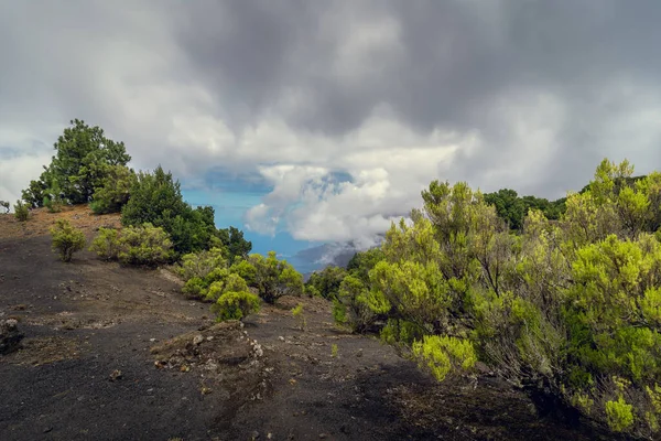 火山的景观 从El Hierro岛的顶部观看 圣克鲁斯 特内里费加那利群岛 西班牙 — 图库照片