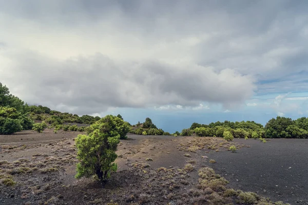 Vulkaniska Landskap Utsikt Från Toppen Hierro Santa Cruz Tenerife Kanarieöarna — Stockfoto