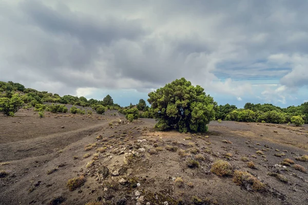 Paysage Volcanique Vue Depuis Sommet Île Hierro Santa Cruz Tenerife — Photo