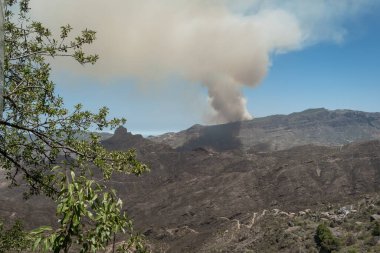 Ağustos 2019 'da Gran Canaria' da yangın çıktı. Kanarya Adaları. İspanya