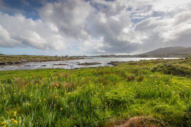 Deniz Burnu. Bulutlu bir günde Inishnee Adası kıyı şeridi. Galway. İrlanda