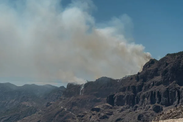 Pożar Szczycie Gran Canarii Sierpniu 2019 Wyspy Kanaryjskie Hiszpania — Zdjęcie stockowe