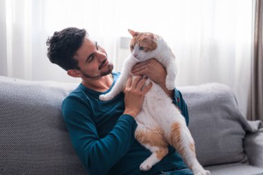 Gri bir kanepede oturan genç adam kollarında kahverengi beyaz bir kedi tutuyor.