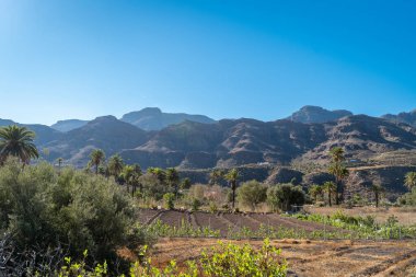 Santa Luca de Tirajana manzarası. Büyük Kanarya. İspanya