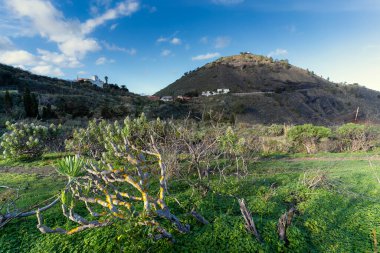 Bandama 'da volkanik Caldera. Büyük Kanarya. Kanarya Adaları