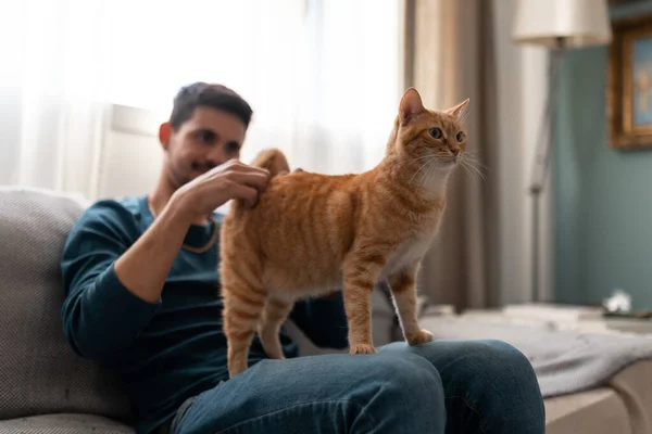 남자가 고양이 의등을 — 스톡 사진