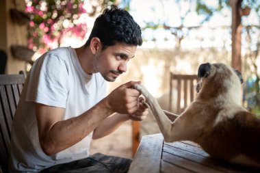 Genç bir adam bahçede köpeğiyle oynuyor.