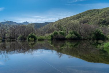 Göldeki orman ağaçlarının yansıması. Riao. Len. İspanya