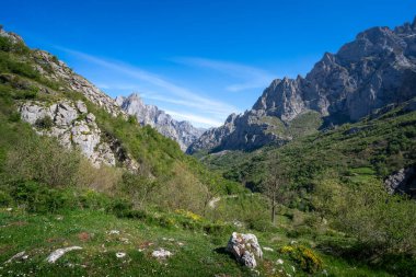 Picos de Europa manzarası El Tombo bakış açısından. Len. İspanya