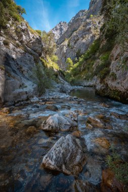 Dikey kompozisyon. River Cares. Manzarayı önemser. Can de Valden. Asturias İspanya