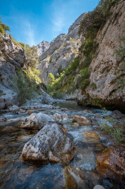 Dikey kompozisyon. River Cares. Manzarayı önemser. Can de Valden. Asturias İspanya