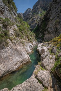 Dikey kompozisyon. River Cares. Manzarayı önemser. Can de Valden. Asturias İspanya
