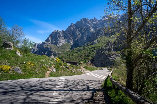 Estrada Para Caim Valden Com Montanhas Picos Europa Fundo Len — Fotografia de Stock