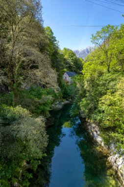 dikey kompozisyon. River Cares 'daki Cabrales peynir mağarası. Asturyalar. İspanya