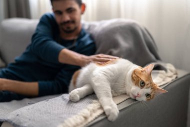 Genç adam kanepede kahverengi ve beyaz bir kediyle oynuyor. Kapat.