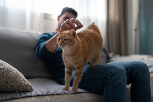Ung Man Leker Med Brun Tabby Katt Vardagsrummet — Stockfoto